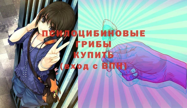 сатива Нефтегорск