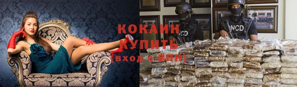 сатива Нефтегорск