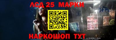 спиды Гатчина