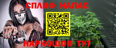 шишки Апшеронск