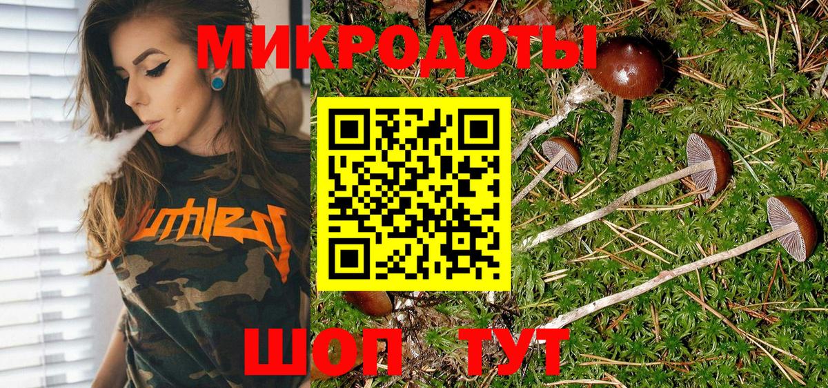 Псилоцибиновые грибы Magic Shrooms  Вход с VPN  Камышлов 