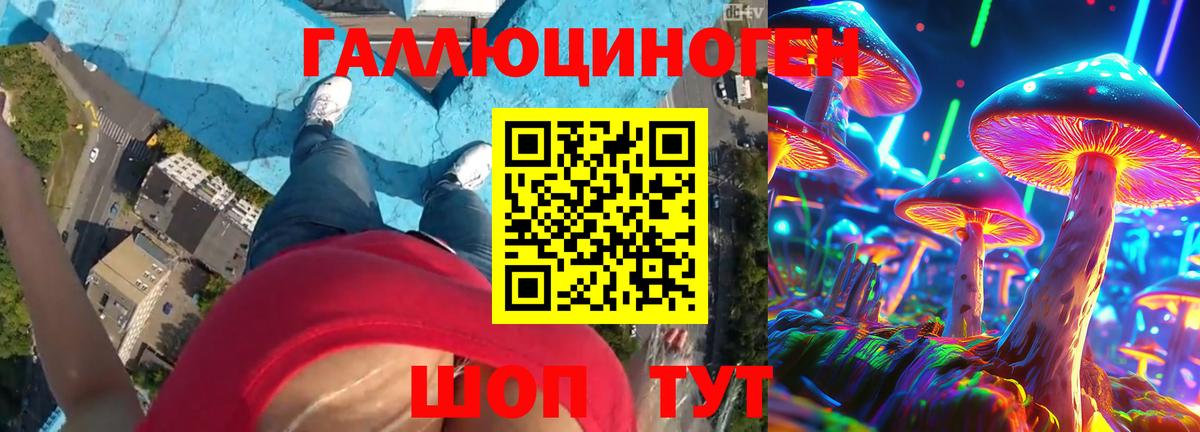 Псилоцибиновые грибы мухоморы Камышлов