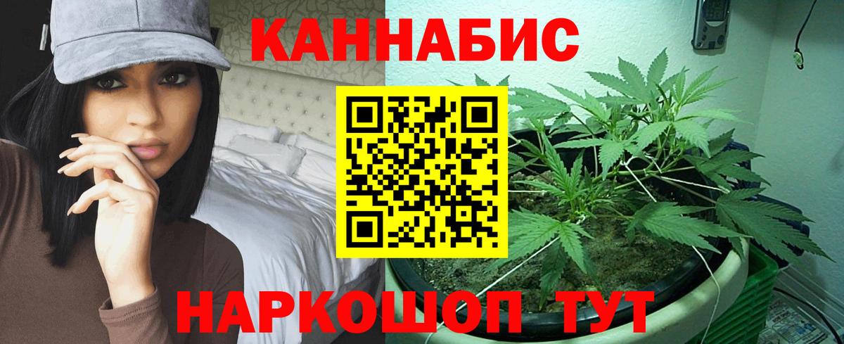 Канабис семена  Бошки марихуана марихуана  Камышлов  Шишки марихуана Bruce Banner  Вход с VPN 